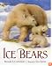 Ice Bears