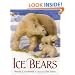 Ice Bears