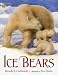 Books : Ice Bears