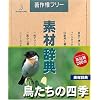 素材辞典 Vol.96 鳥たちの四季編
