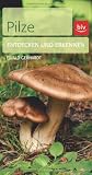 Produkt-Bild: Pilze: Entdecken und erkennen
