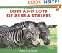 Lots and Lots of Zebra Stripes: Patterns in Nature