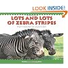 Lots and Lots of Zebra Stripes: Patterns in Nature