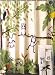 Funky Shower Curtains - "Monkeying Around" Monkey Printed Fabric Shower Curtain