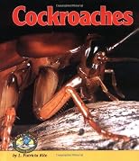 Cockroaches (Early Bird Nature Books)
