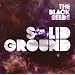 Solid Ground