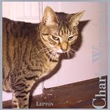 Buy : Lepton