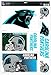 NFL Carolina Panthers 11-by-17 Ultra Decal Multiple Designs