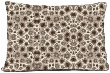 Custome Pillows Decor Case For Sofa Petoskey Stone Pillow Case 30 X 20 Inch