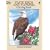 State Birds and Flowers Coloring Book (Dover Pictorial Archive Series)