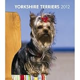 Yorkshire Terriers 2012 Hardcover Weekly Engagement Calendar