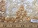 Corsage Lace Embroidered Roses on Mesh Champagne 56 Inch Wide Fabric By the Yard (F.E.