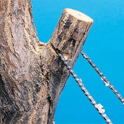 High Limb Rope Chain Saw - 24in.