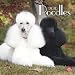 poodle26 - Poodles 2010 Wall