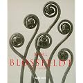 Karl Blossfeldt: Photographs