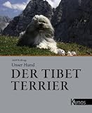 Der Tibet Terrier