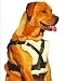 Good Pet Stuff Travelin' Dog Pet Seat Harness