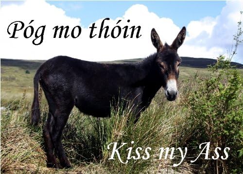 Póg mo thóin. A very funny Irish humor card. Who would you love to send this to???