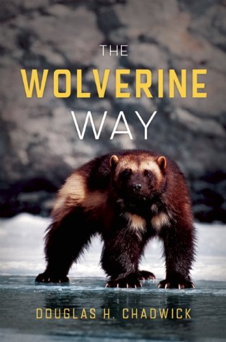 The Wolverine Way