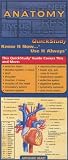 Anatomy (Quickstudy: Academic)