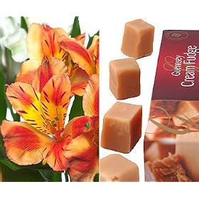 Alstroemeria Flowers with Guernsey Fudge