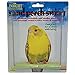 JW Pet Company Insight Sand Perch Swing Bird Toy, Small, Assorted