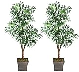 IMAGE OF Two 6' Phoenix Tripled Artificial Trees Silk Plants, with No Pot, Minor Assembly Required.
