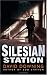 Silesian Station