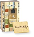Caldrea Kitchen Starter Set, Green Tea Patchouli, 16-Ounce Box