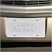 Jacksonville University Dolphins Satin Mirrored Team Logo License Plate