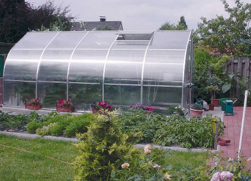 RIGA V 165 Square Foot Greenhouse