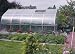 RIGA V 165 Square Foot Greenhouse