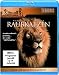 Hugo van Lawick - Raubkatzen [Blu-ray]