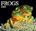 Frogs 2008 Calendar (Calendar)