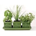 Italian Herb Garden Trio: Indoor Garden Gift Set incl. 3 planters, dip tray, seeds, peat soil pellets.