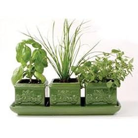 Italian Herb Garden Trio: Indoor Garden Gift Set incl. 3 planters, dip tray, seeds, peat soil pellets.