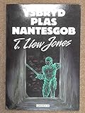 Ysbryd Plas Nantesgob