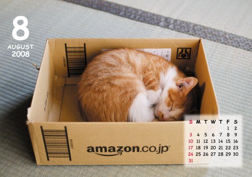 ねこ鍋カレンダー2008(Amazon.co.jp独占販売)ドワンゴ・エージー・エンタテインメント/エレファント