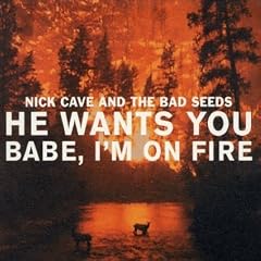 He Wants You/Babe I'm on Fire