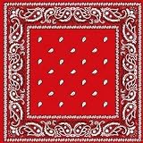 bandanna/neckerchief,western design,red