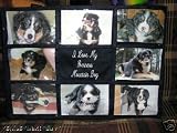 I Love My Bernese Mountain Dog Personalized Photo Tote Bag Navy Blue