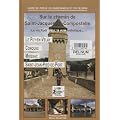 Sur le chemin de Saint-Jacques de Compostelle : La via Podiensis, la voie historique