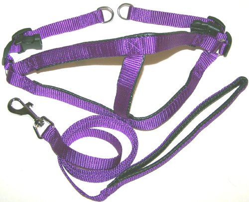 Padded Step-In Nylon Dog Harness & Leash Set Size Medium 17