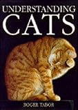 Understanding cats