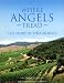 Book Where Angels Tread