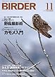 BIRDER 2013年 11月号 [雑誌]