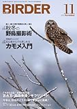 BIRDER 2013年 11月号 [雑誌]