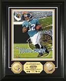 NFL Jacksonville Jaguars 24KT Gold Coin Photo Mint