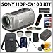 Sony HDR-CX100 AVCHD HD Camcorder in Silver + 8 Gigabyte Pro-Duo Memory Stick + Sony Camcorder Case + Deluxe Camcorder Accessory Kit