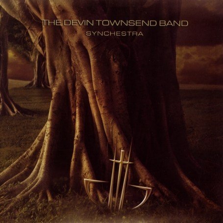 Synchestra
